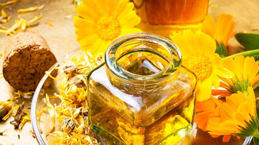 Organic Tasmanian Calendula Oil