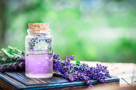 The Fragrance Wheel and how it could help you choose your favourite Perfume